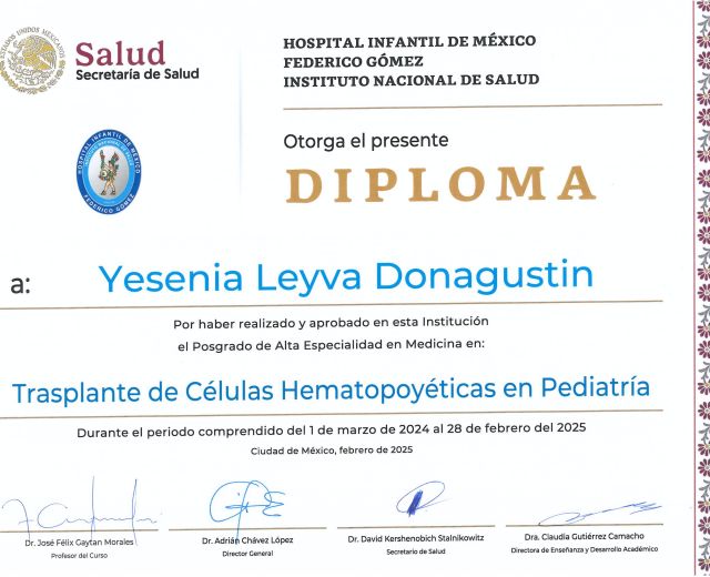 Ampliar imagen: certificate 7