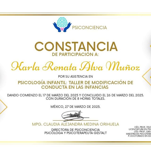 Ampliar imagen: certificate 12