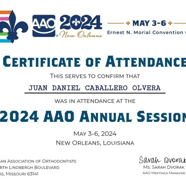 Ampliar imagen: certificate 3