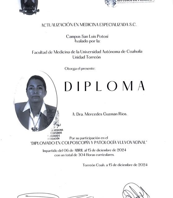 Ampliar imagen: certificate 2