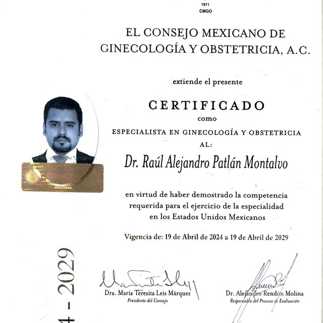 Ampliar imagen: certificate 5