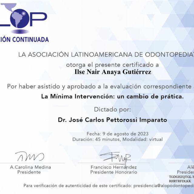 Ampliar imagen: certificate 9