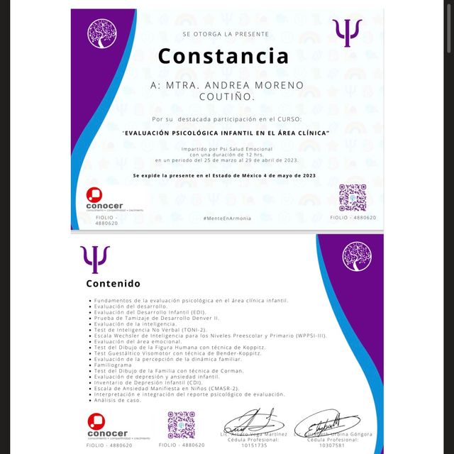 Ampliar imagen: certificate 8