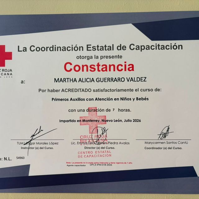 Ampliar imagen: certificate 1