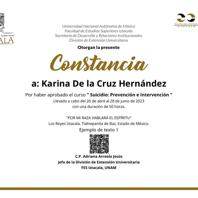 Ampliar imagen: certificate 3