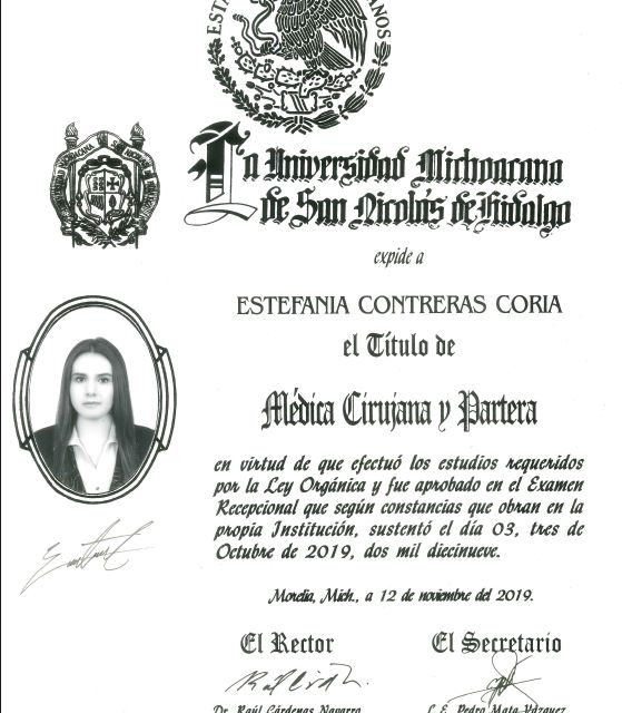 Ampliar imagen: certificate 1