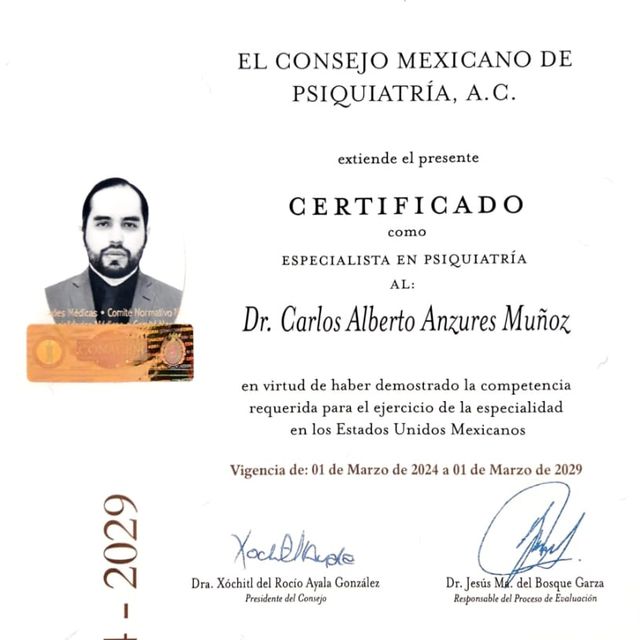 Ampliar imagen: certificate 2