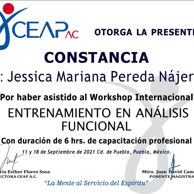 Ampliar imagen: certificate 6