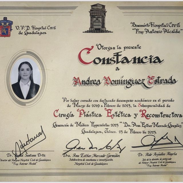 Ampliar imagen: certificate 2