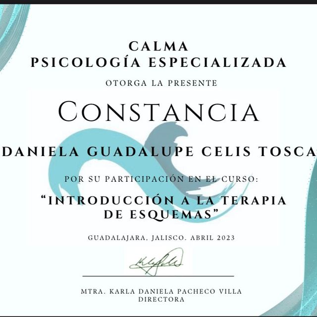 Ampliar imagen: certificate 1