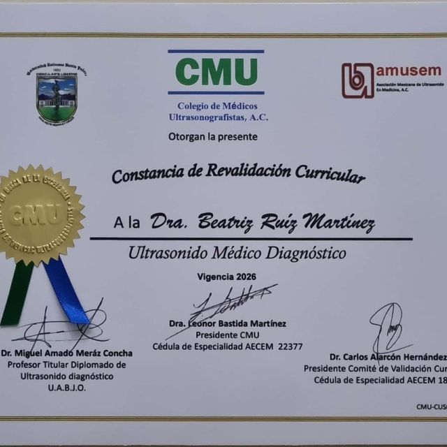 Ampliar imagen: certificate 15