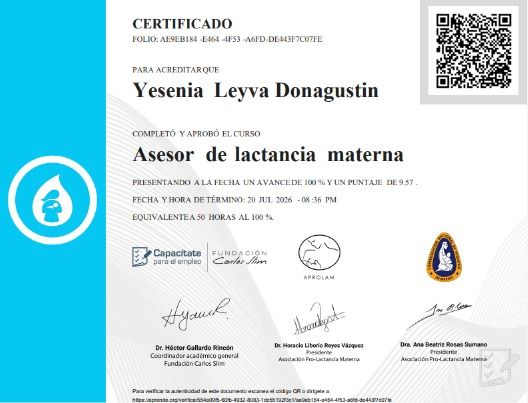 Ampliar imagen: certificate 1