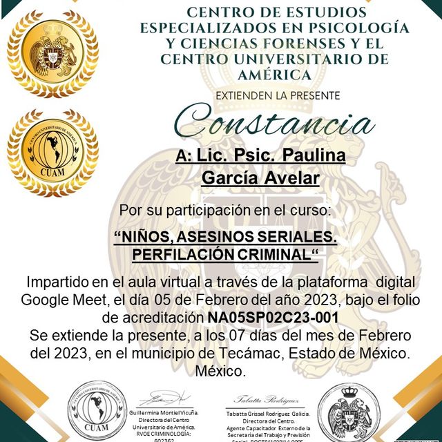 Ampliar imagen: certificate 9