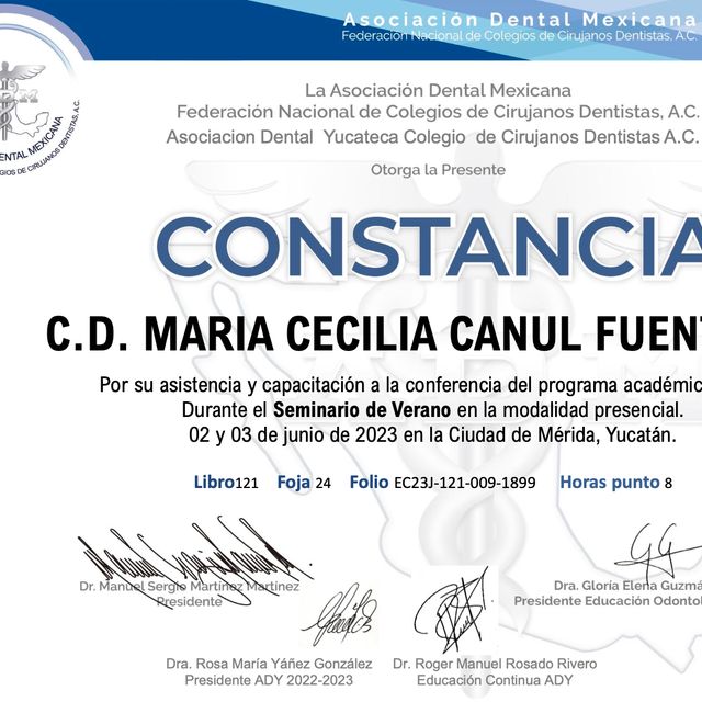 Ampliar imagen: certificate 7