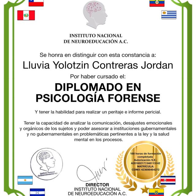 Ampliar imagen: certificate 12