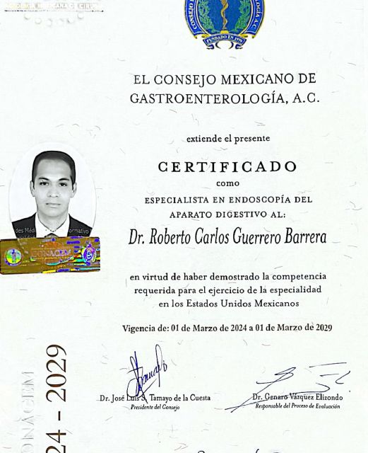 Ampliar imagen: certificate 5
