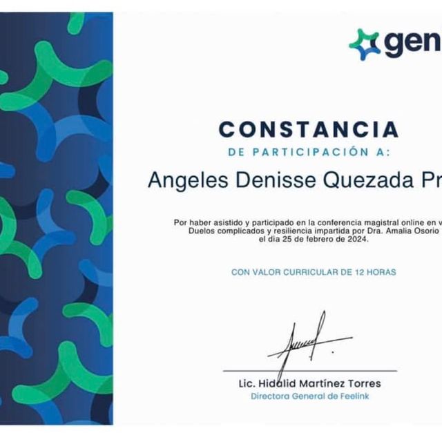 Ampliar imagen: certificate 14