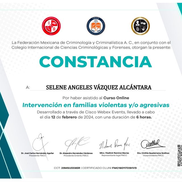 Ampliar imagen: certificate 3