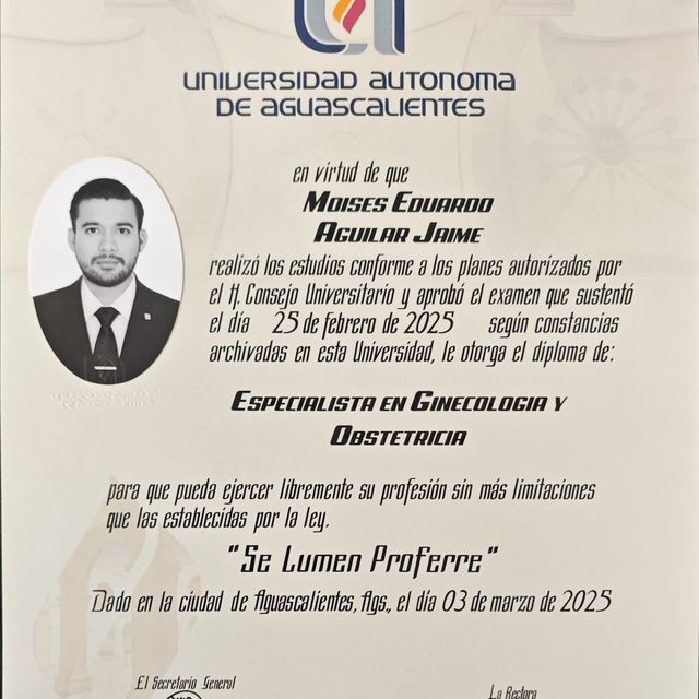 Ampliar imagen: certificate 1