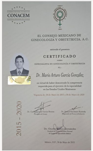 Ampliar imagen: certificate 2