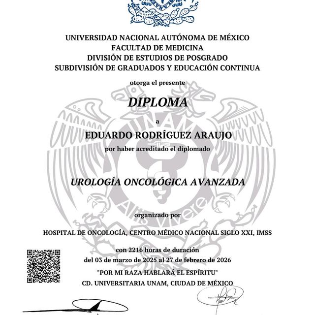 Ampliar imagen: certificate 4