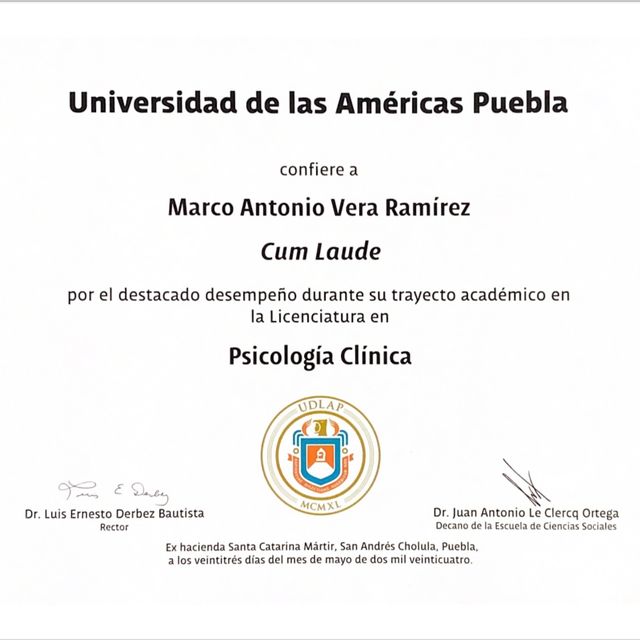 Ampliar imagen: certificate 9