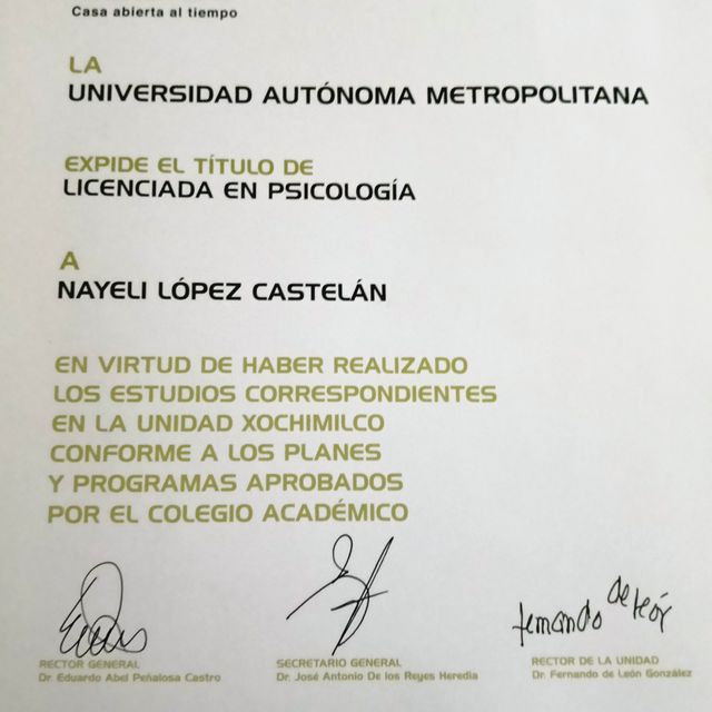 Ampliar imagen: certificate 3