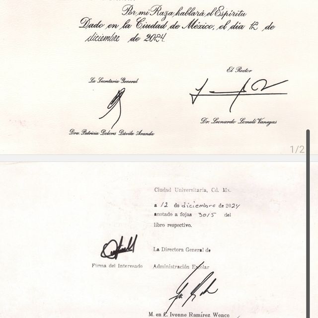 Ampliar imagen: certificate 1