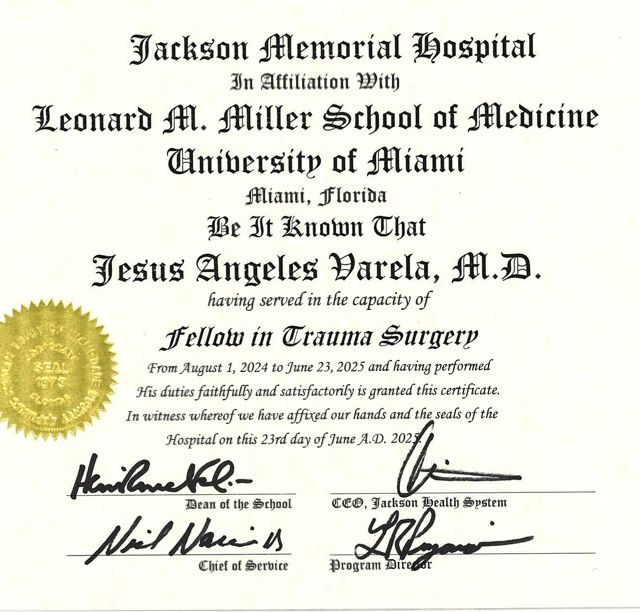 Ampliar imagen: certificate 1