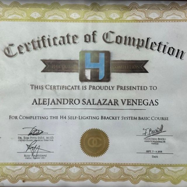 Ampliar imagen: certificate 13