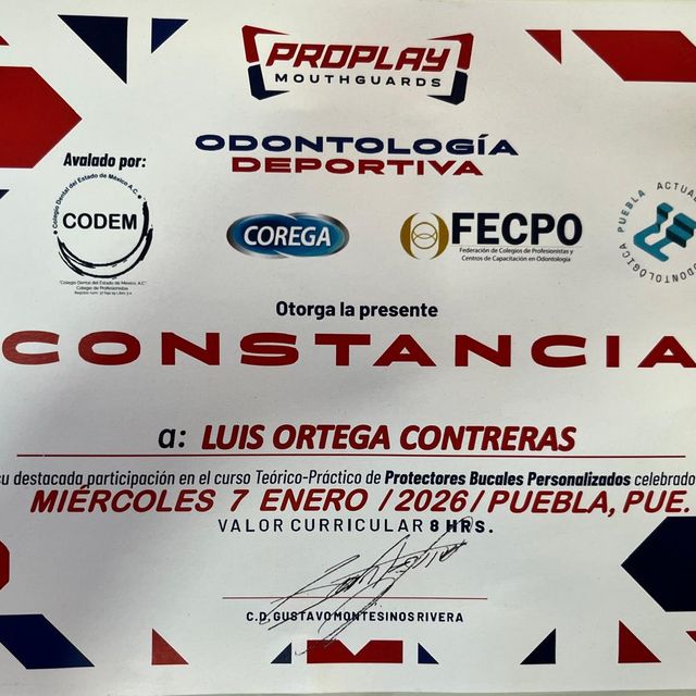 Ampliar imagen: certificate 3