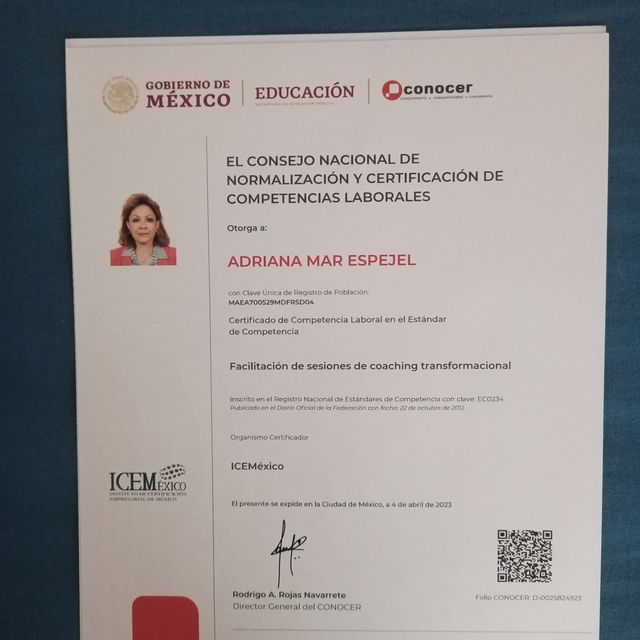 Ampliar imagen: certificate 4