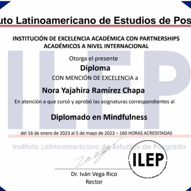 Ampliar imagen: certificate 7