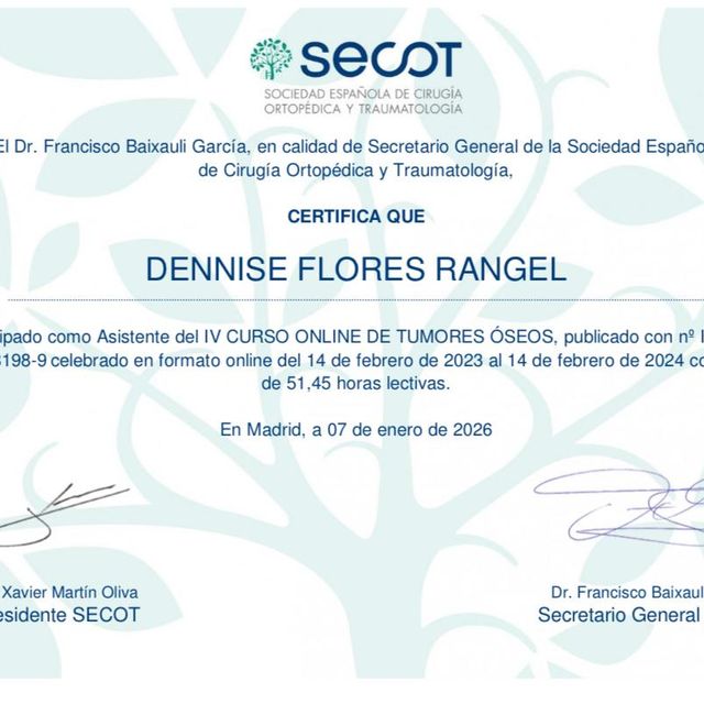 Ampliar imagen: certificate 4