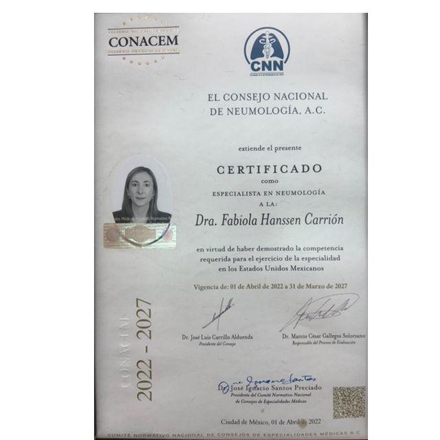 Ampliar imagen: certificate 8