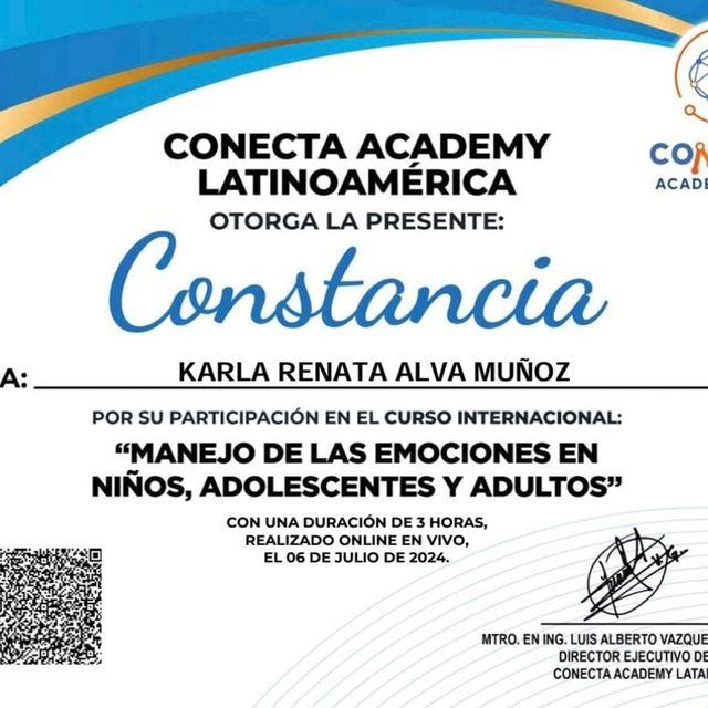 Ampliar imagen: certificate 4