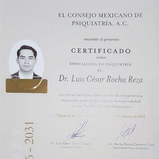 Ampliar imagen: certificate 3