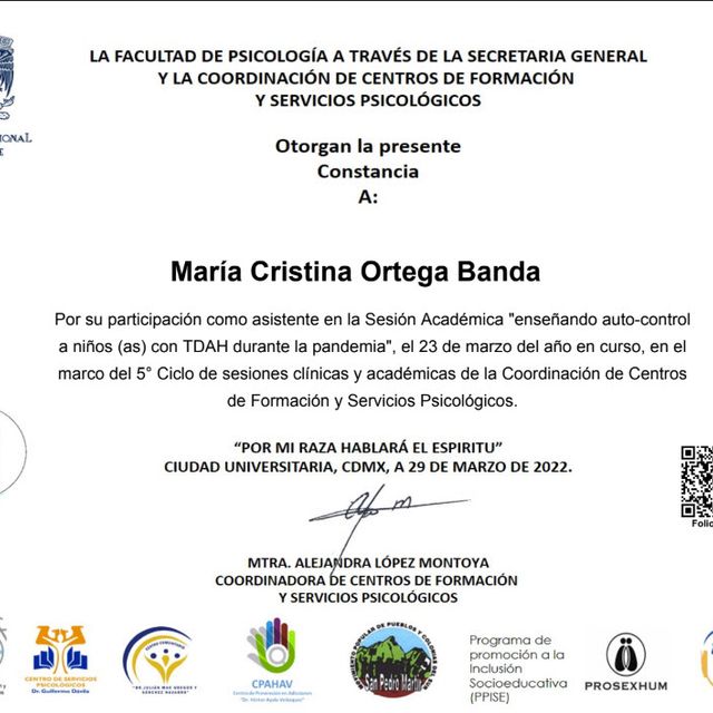 Ampliar imagen: certificate 2