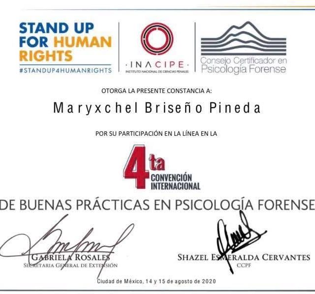 Ampliar imagen: certificate 5