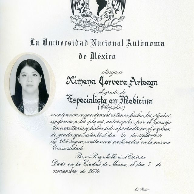 Ampliar imagen: certificate 4