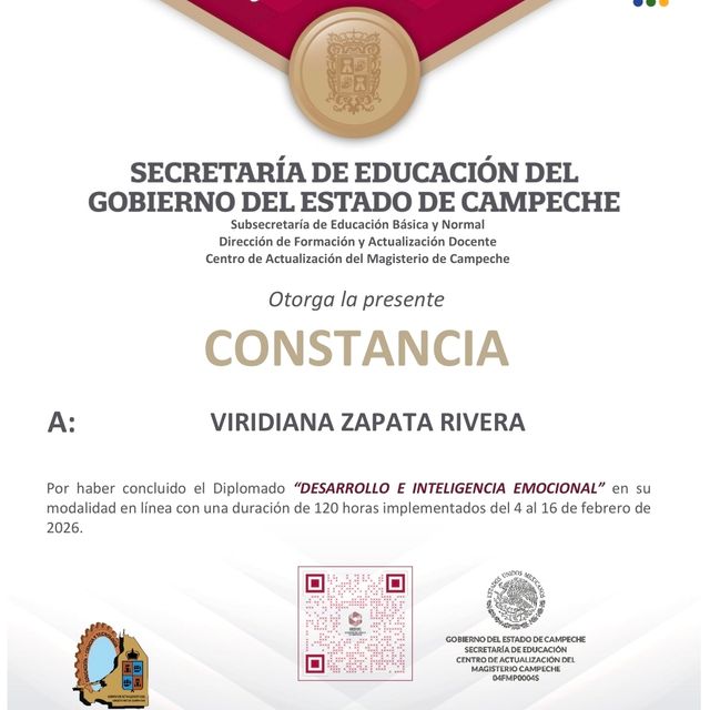 Ampliar imagen: certificate 4