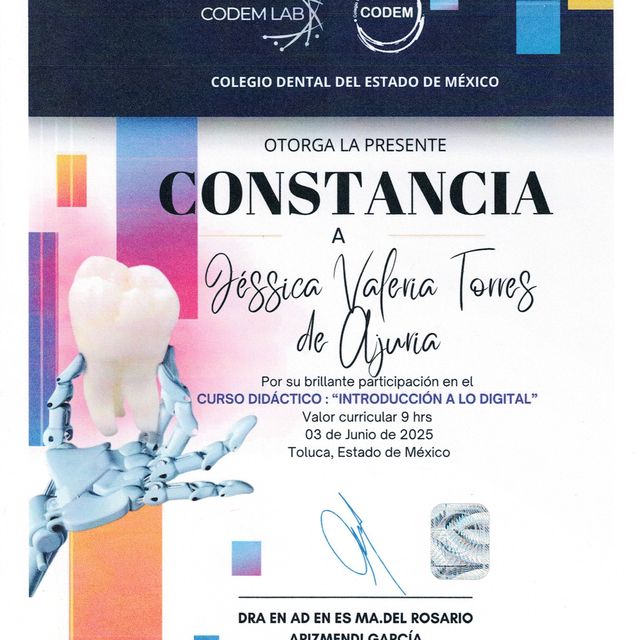 Ampliar imagen: certificate 13