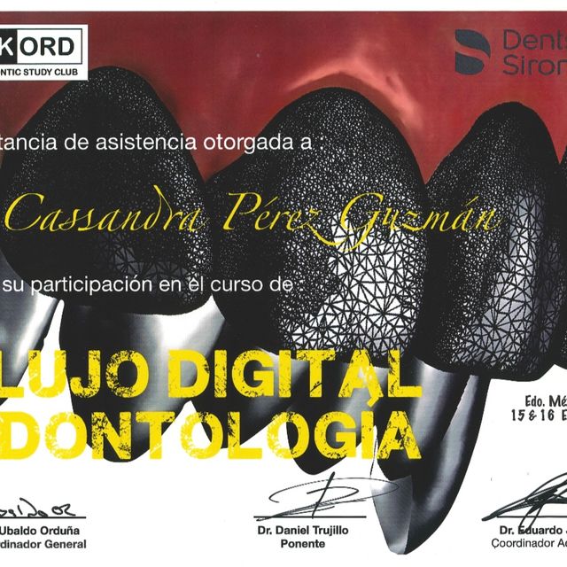 Ampliar imagen: certificate 2