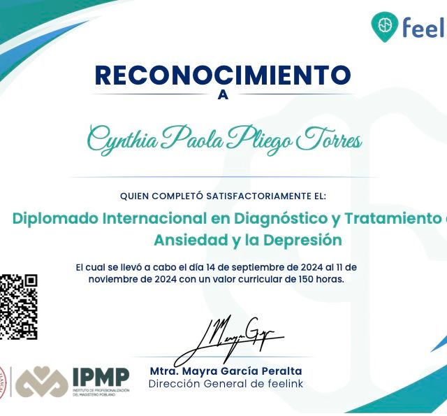 Ampliar imagen: certificate 3