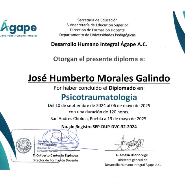Ampliar imagen: certificate 5