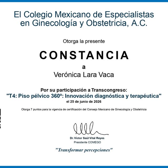 Ampliar imagen: certificate 43