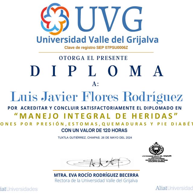 Ampliar imagen: certificate 13