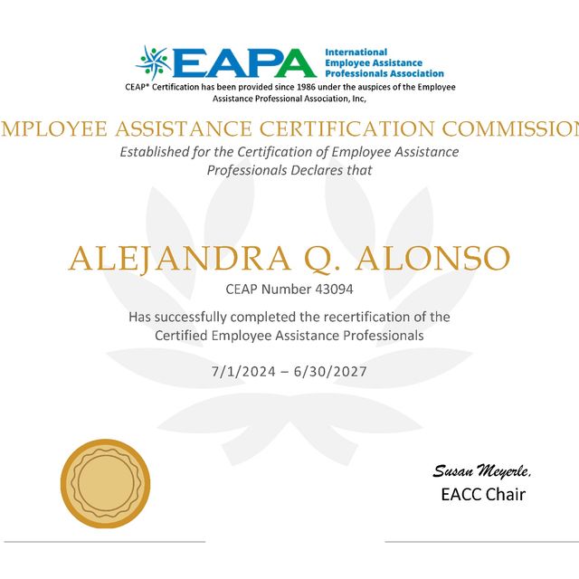 Ampliar imagen: certificate 2