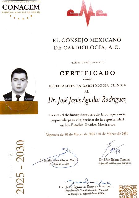 Ampliar imagen: certificate 1