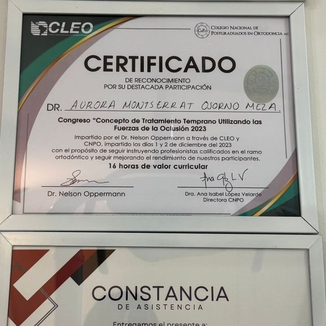 Ampliar imagen: certificate 5